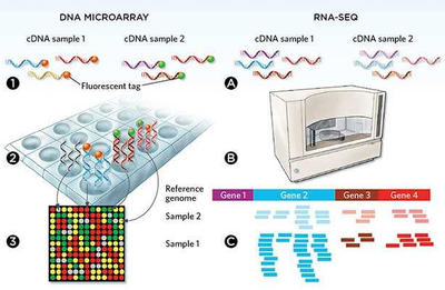 微流控自動(dòng)化技術(shù)革新RNA-Seq文庫(kù)構(gòu)建流程 --- FLUIDIGM發(fā)布更高效、更節(jié)約成本的Advanta RNA-Seq NGS 文庫(kù)構(gòu)建解決方案